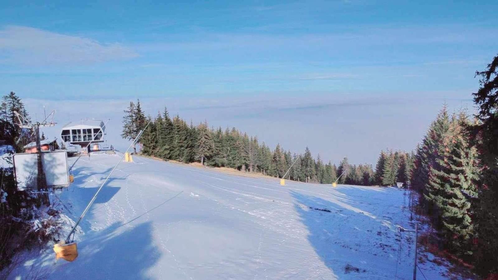Arboro Royal Plaza Daire Borovets Dış mekan fotoğraf