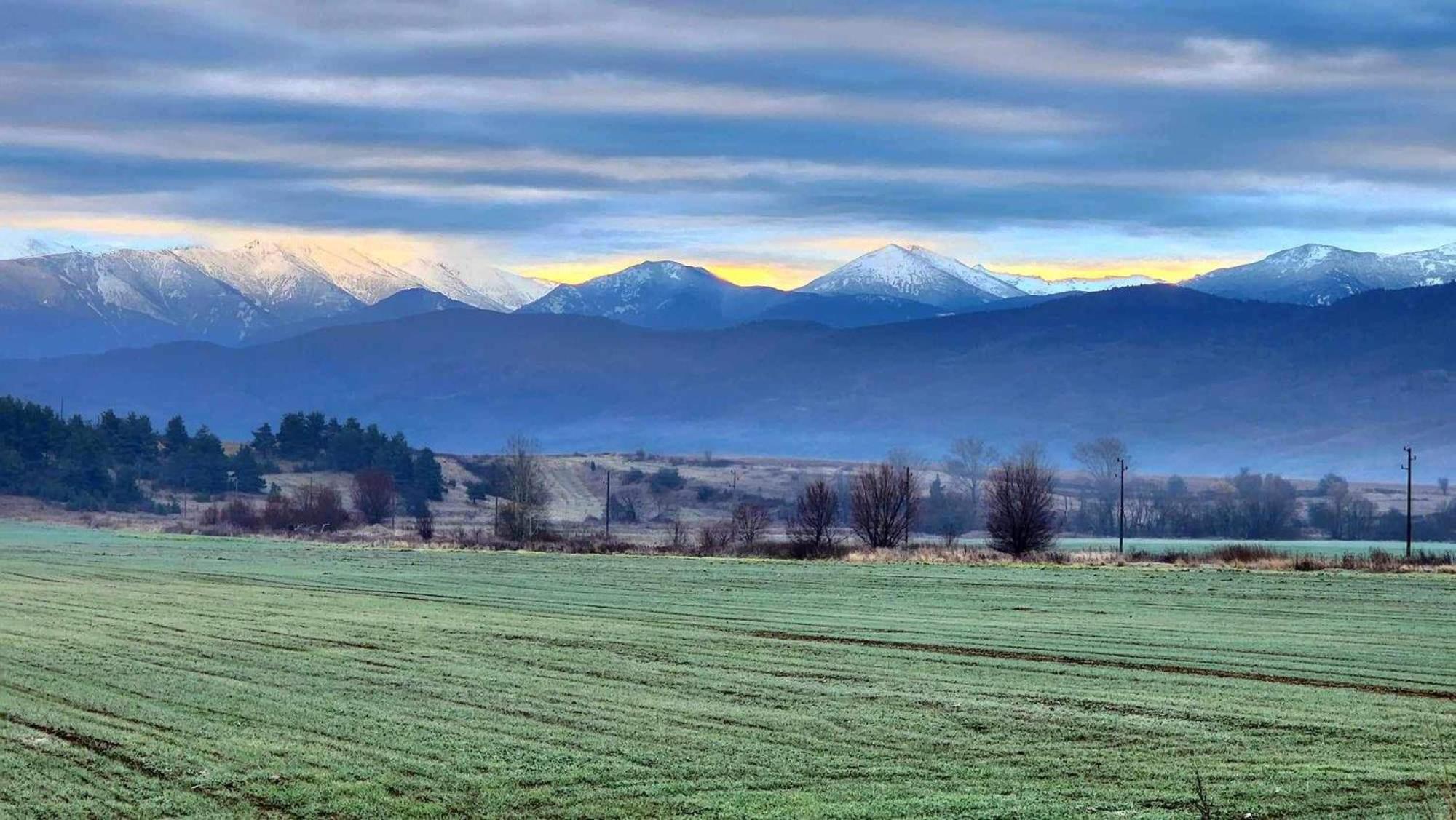 Arboro Royal Plaza Daire Borovets Dış mekan fotoğraf