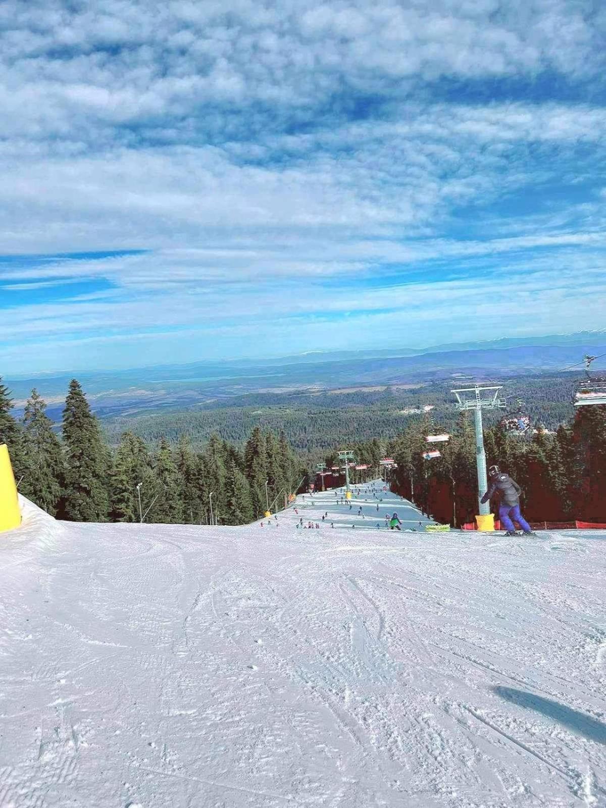 Arboro Royal Plaza Daire Borovets Dış mekan fotoğraf