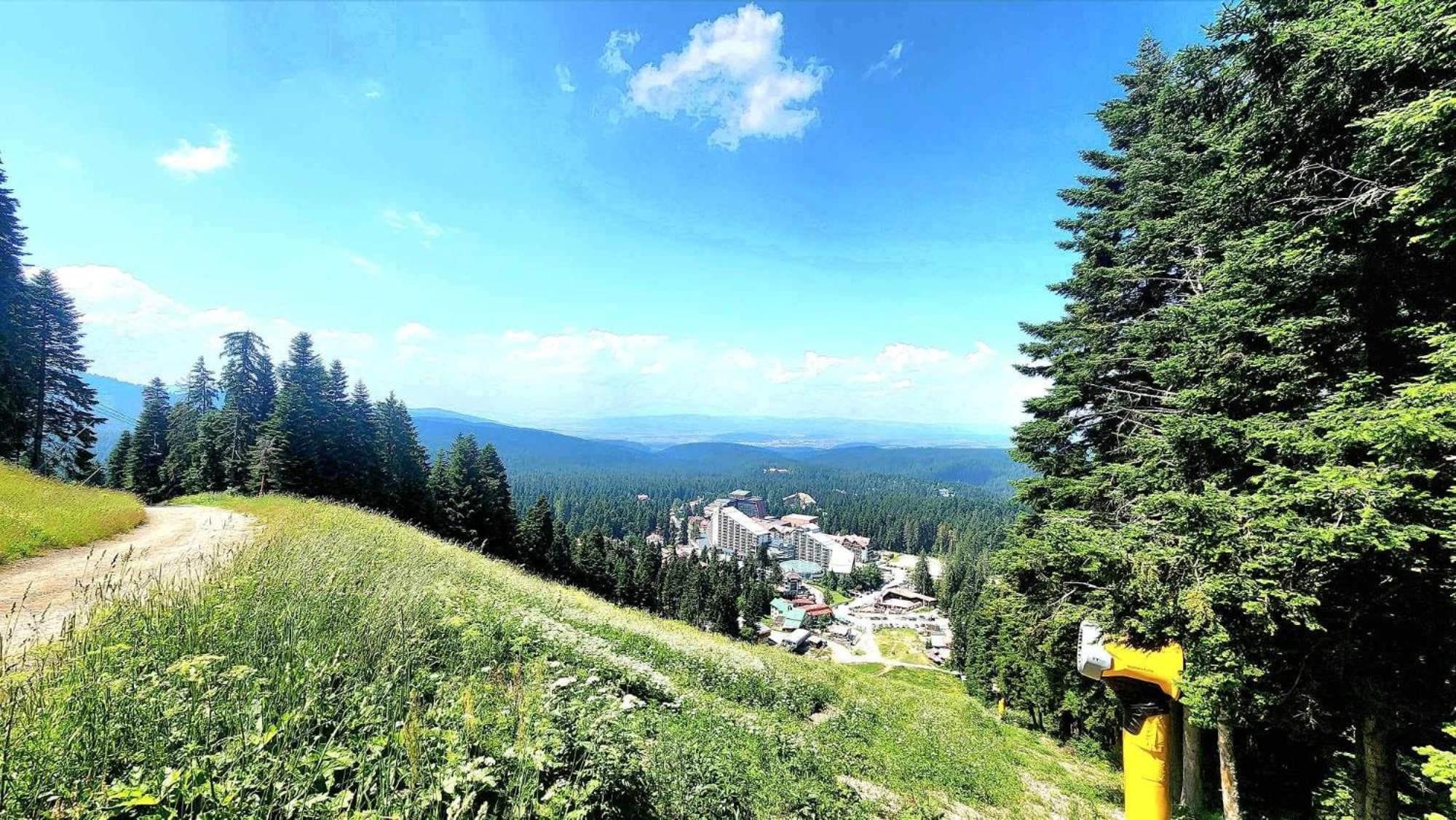 Arboro Royal Plaza Daire Borovets Dış mekan fotoğraf