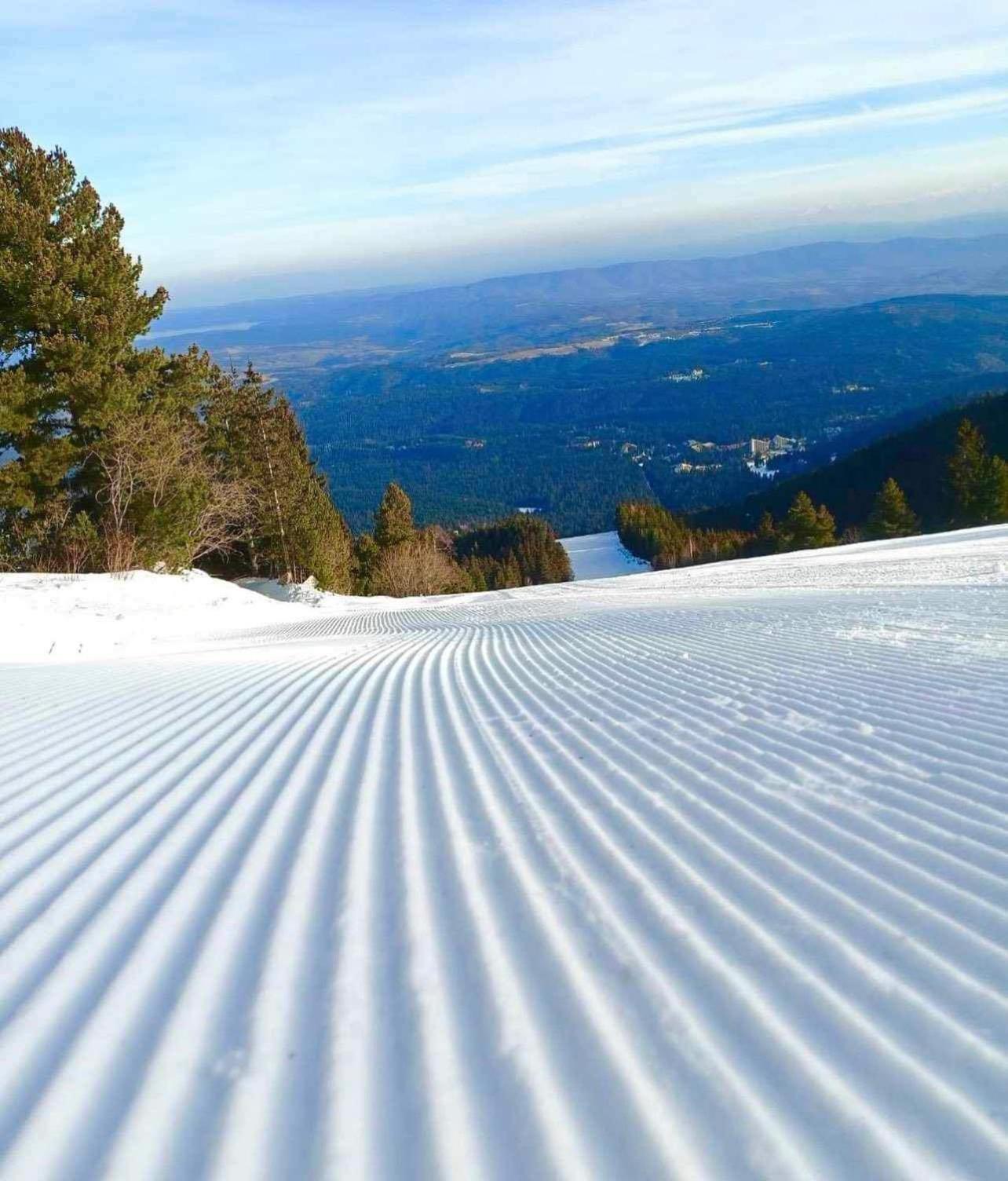 Arboro Royal Plaza Daire Borovets Dış mekan fotoğraf