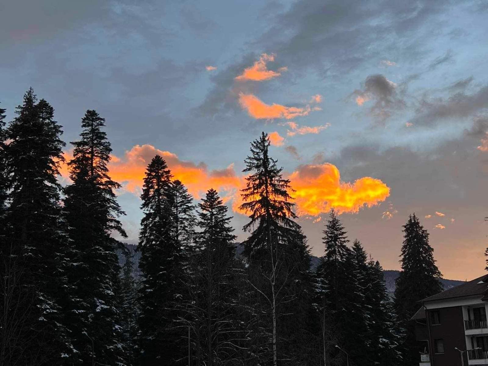 Arboro Royal Plaza Daire Borovets Dış mekan fotoğraf