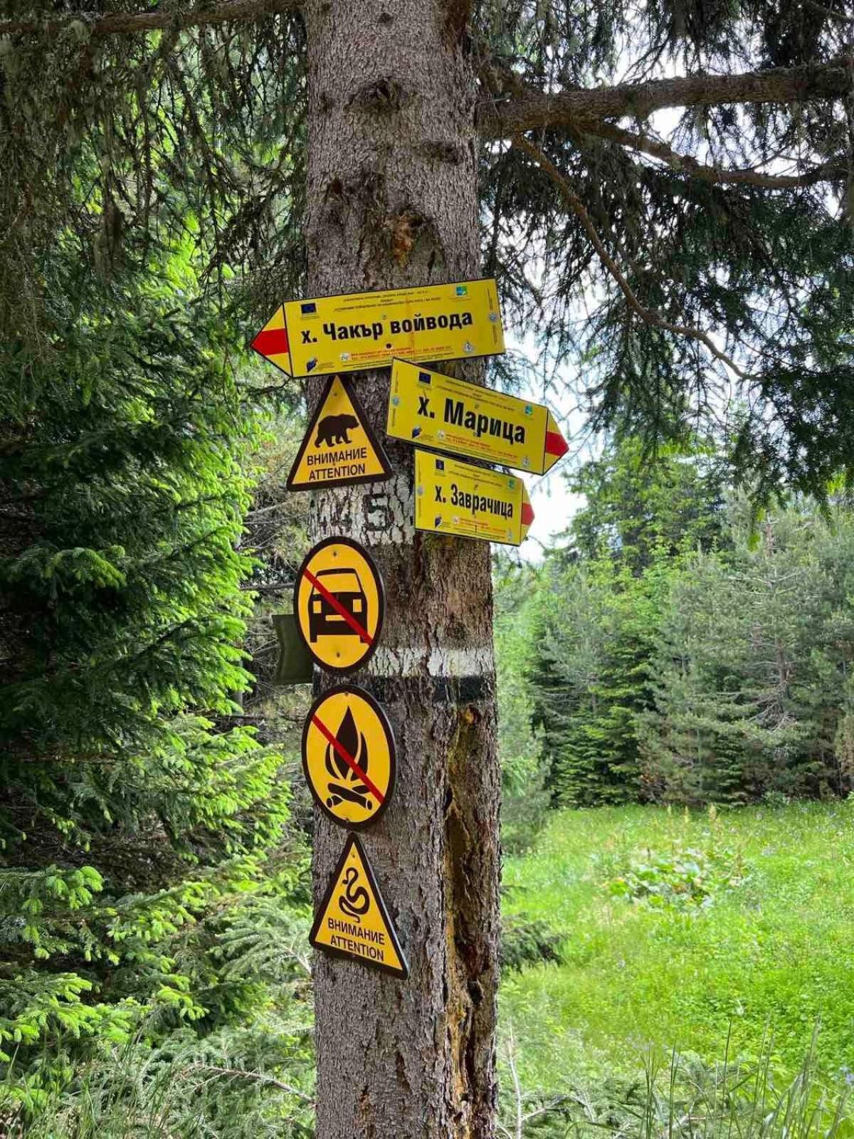 Arboro Royal Plaza Daire Borovets Dış mekan fotoğraf