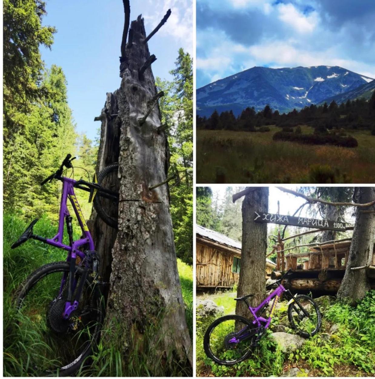 Arboro Royal Plaza Daire Borovets Dış mekan fotoğraf