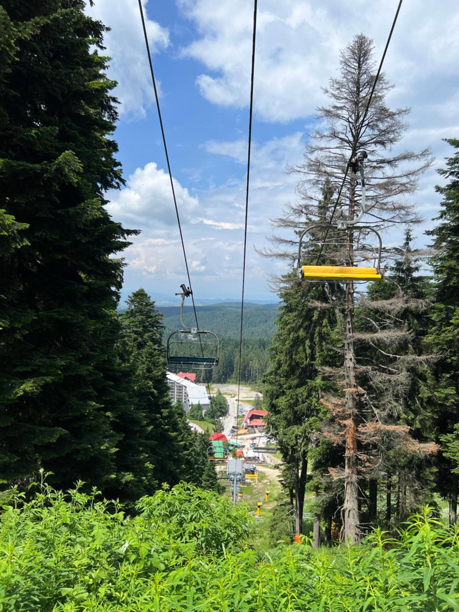 Arboro Royal Plaza Daire Borovets Dış mekan fotoğraf